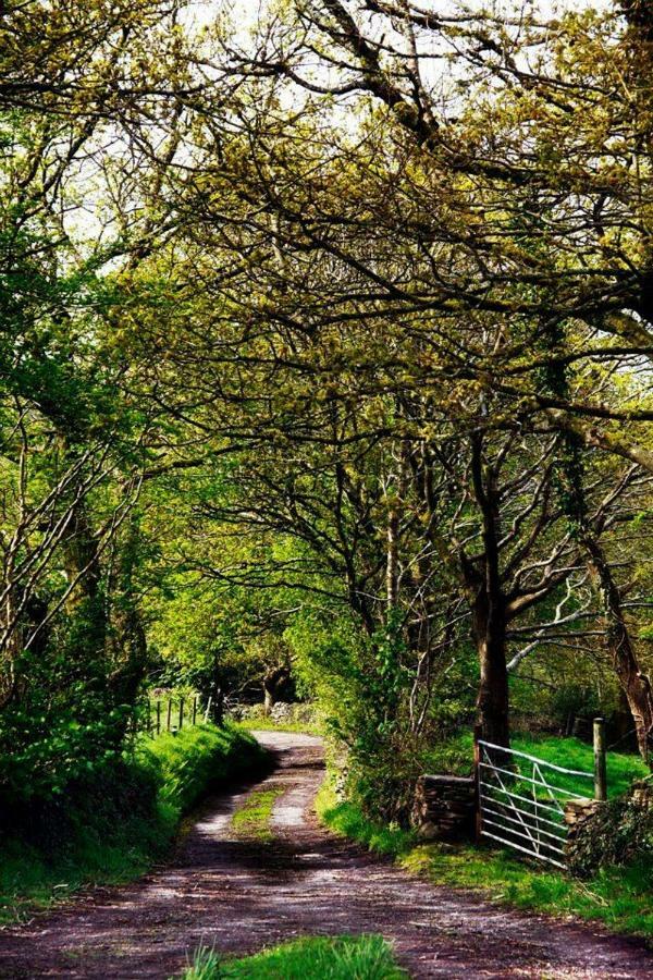 Cilhendre Holiday Cottages - The Dairy 斯旺西 外观 照片