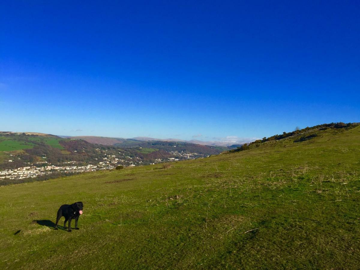 Cilhendre Holiday Cottages - The Dairy 斯旺西 外观 照片